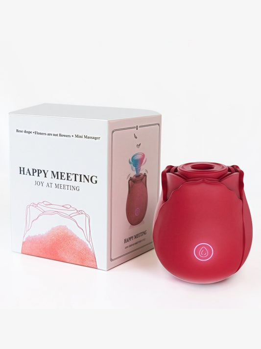 Rose Sucking & Vibrating Egg - Pink / Red